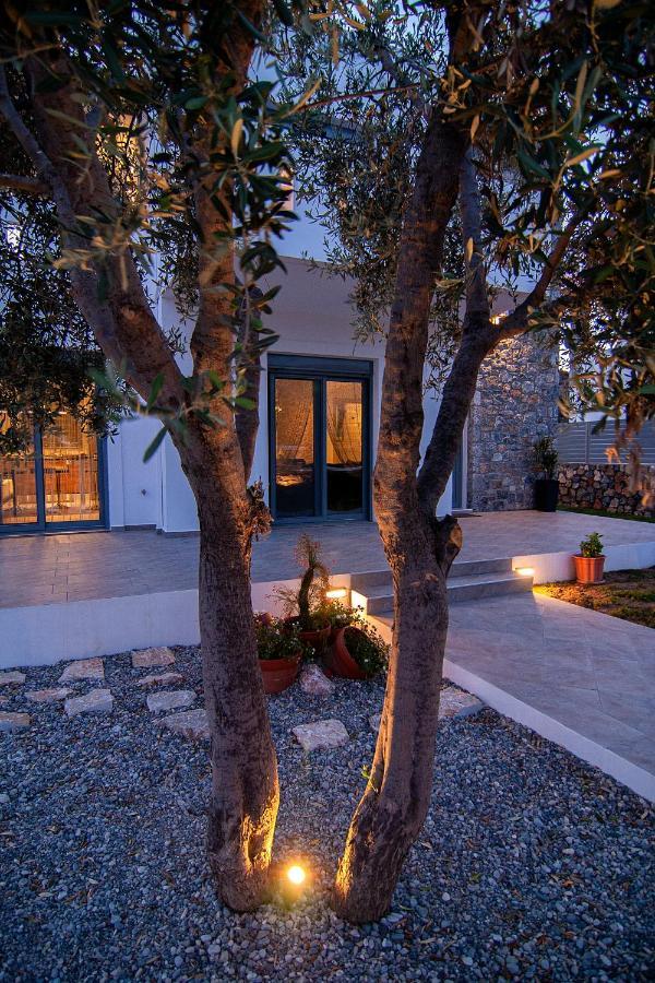 Livis Luxury Villa Kiotari Exterior photo